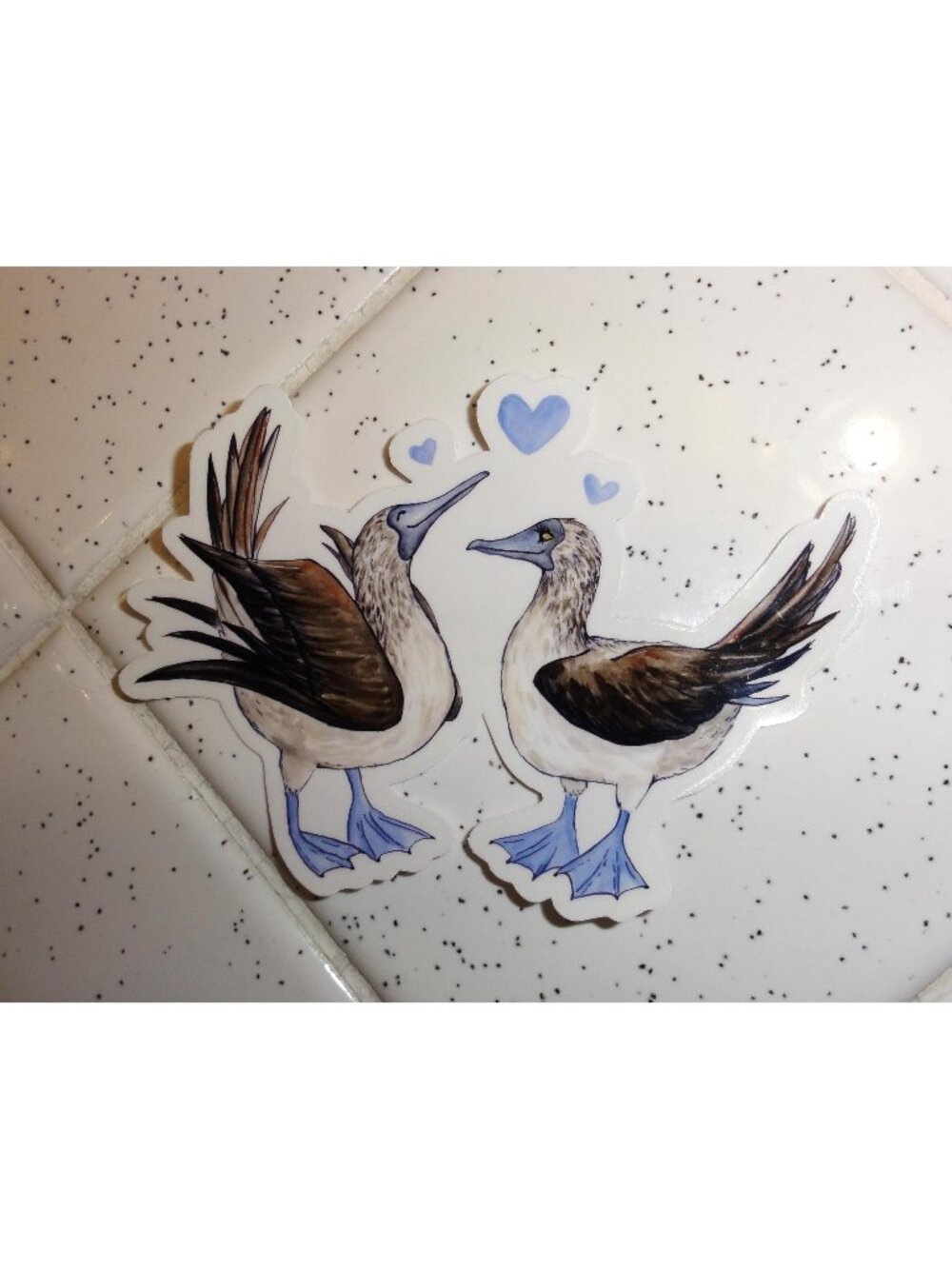 Blue Footed Boobie Birds Sticker hearts handmade